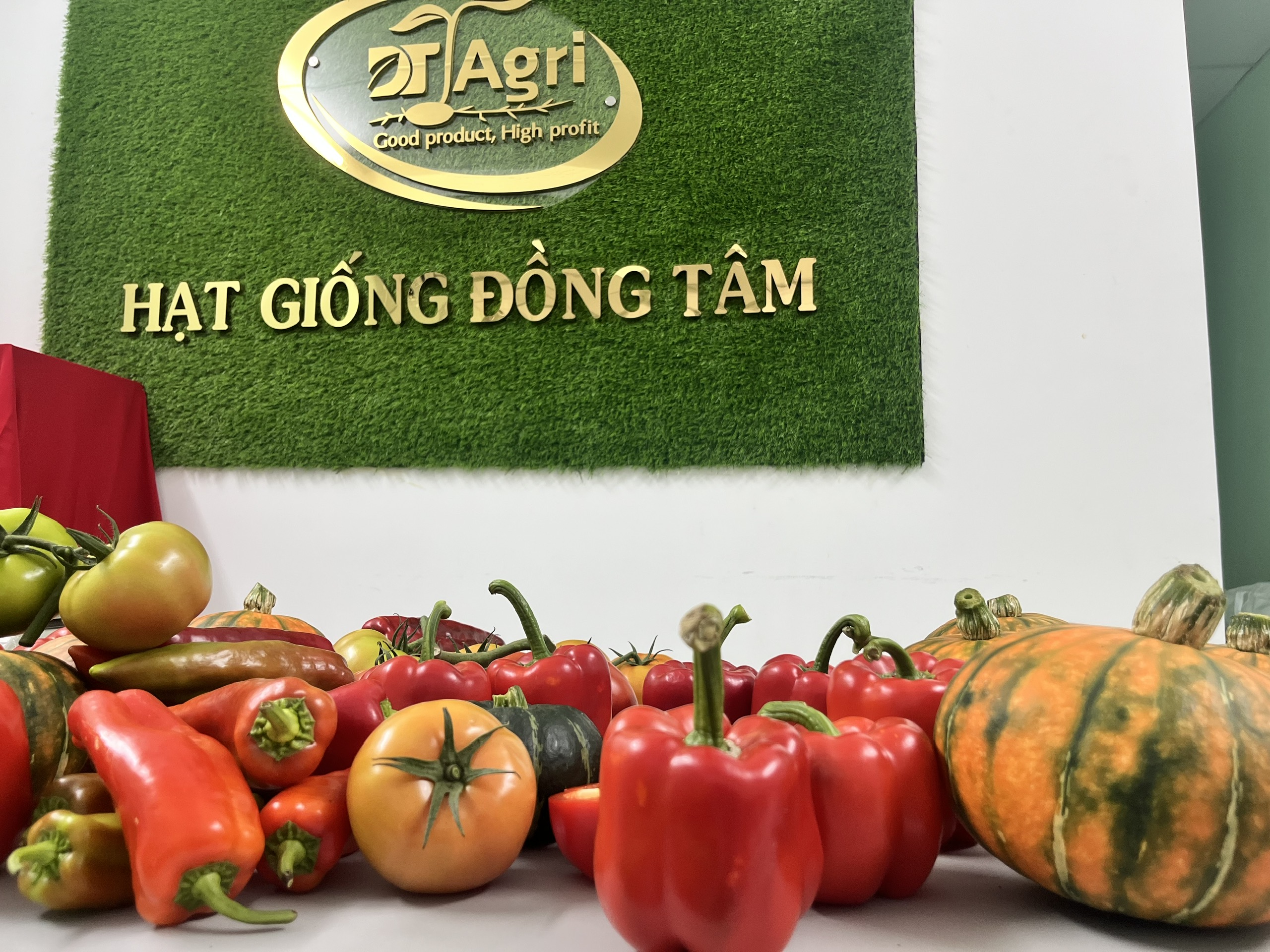 GIOI-THIEU-CONG-TY